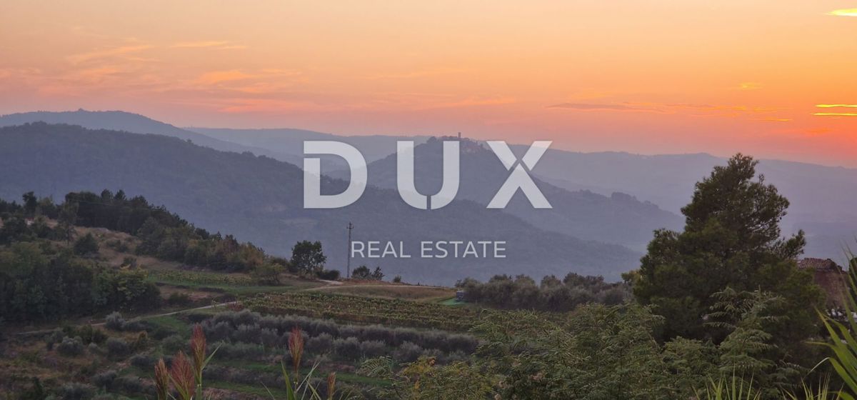 ISTRIA, MOTOVUN - Grande tenuta di 170.000 m2, la vista più bella dell'Istria - Lago Butoniga, Učka, Ćićarija, Montona e la foresta del tartufo di Montona!