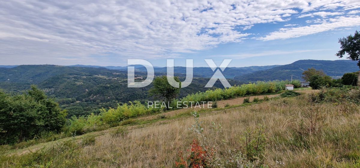 ISTRIA, MOTOVUN - Grande tenuta di 170.000 m2, la vista più bella dell'Istria - Lago Butoniga, Učka, Ćićarija, Montona e la foresta del tartufo di Montona!