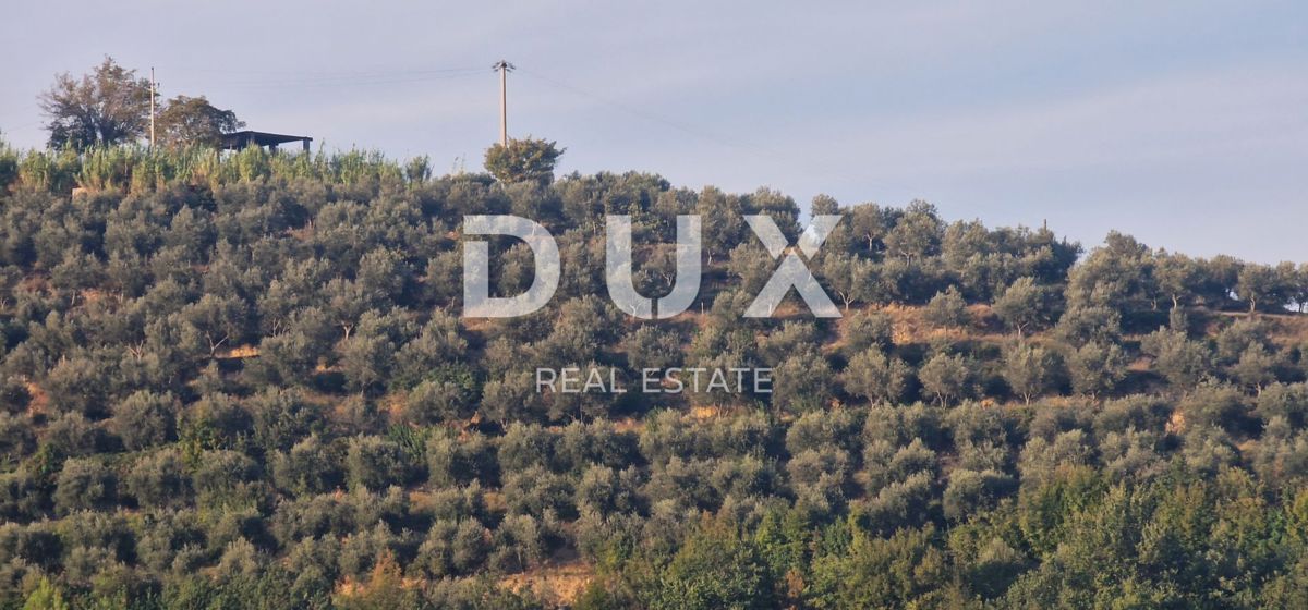 ISTRIA, MOTOVUN - Grande tenuta di 170.000 m2, la vista più bella dell'Istria - Lago Butoniga, Učka, Ćićarija, Montona e la foresta del tartufo di Montona!