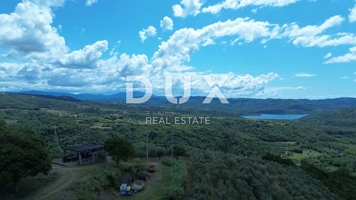 ISTRIA, MOTOVUN - Grande tenuta di 170.000 m2, la vista più bella dell'Istria - Lago Butoniga, Učka, Ćićarija, Montona e la foresta del tartufo di Montona!