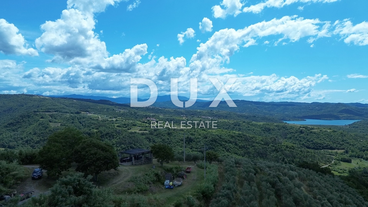 ISTRIA, MOTOVUN - Grande tenuta di 170.000 m2, la vista più bella dell'Istria - Lago Butoniga, Učka, Ćićarija, Montona e la foresta del tartufo di Montona!