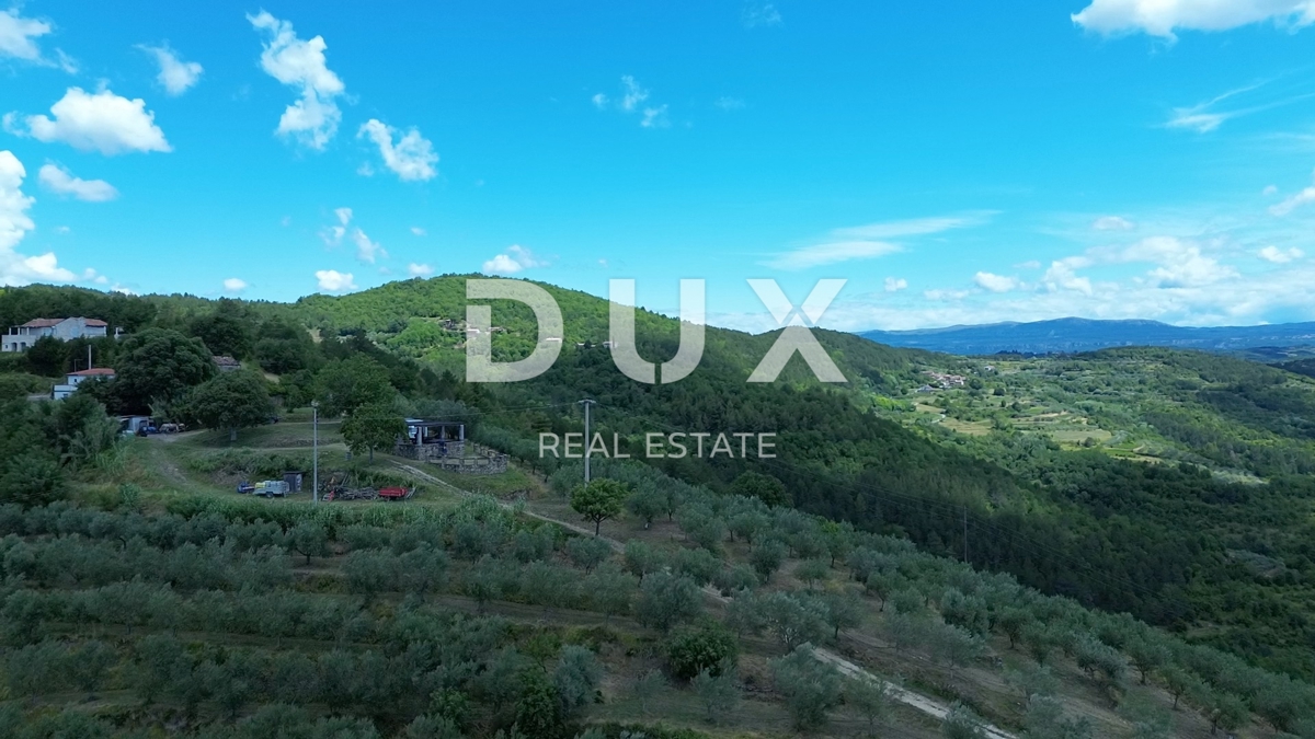 ISTRIA, MOTOVUN - Grande tenuta di 170.000 m2, la vista più bella dell'Istria - Lago Butoniga, Učka, Ćićarija, Montona e la foresta del tartufo di Montona!