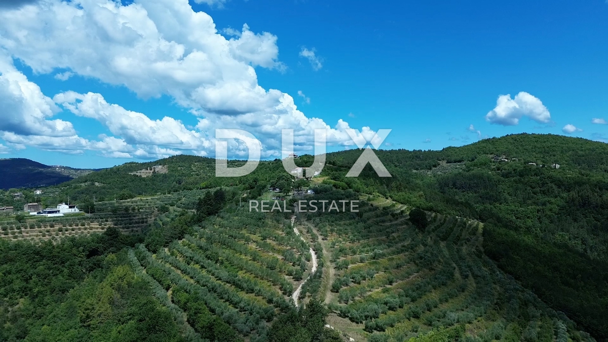 ISTRIA, MOTOVUN - Grande tenuta di 170.000 m2, la vista più bella dell'Istria - Lago Butoniga, Učka, Ćićarija, Montona e la foresta del tartufo di Montona!