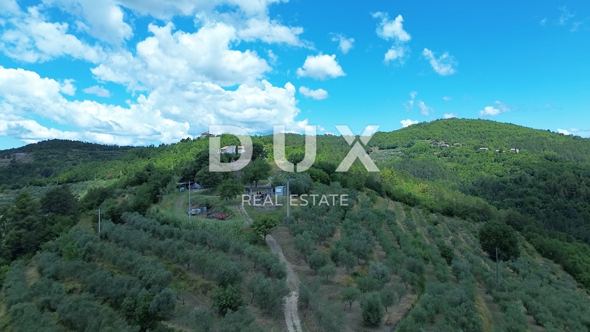 ISTRIA, MOTOVUN - Grande tenuta di 170.000 m2, la vista più bella dell'Istria - Lago Butoniga, Učka, Ćićarija, Montona e la foresta del tartufo di Montona!