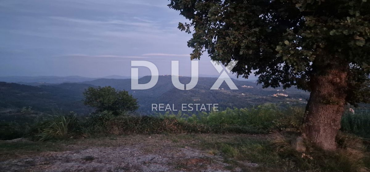 ISTRIA, MOTOVUN - Grande tenuta di 170.000 m2, la vista più bella dell'Istria - Lago Butoniga, Učka, Ćićarija, Montona e la foresta del tartufo di Montona!