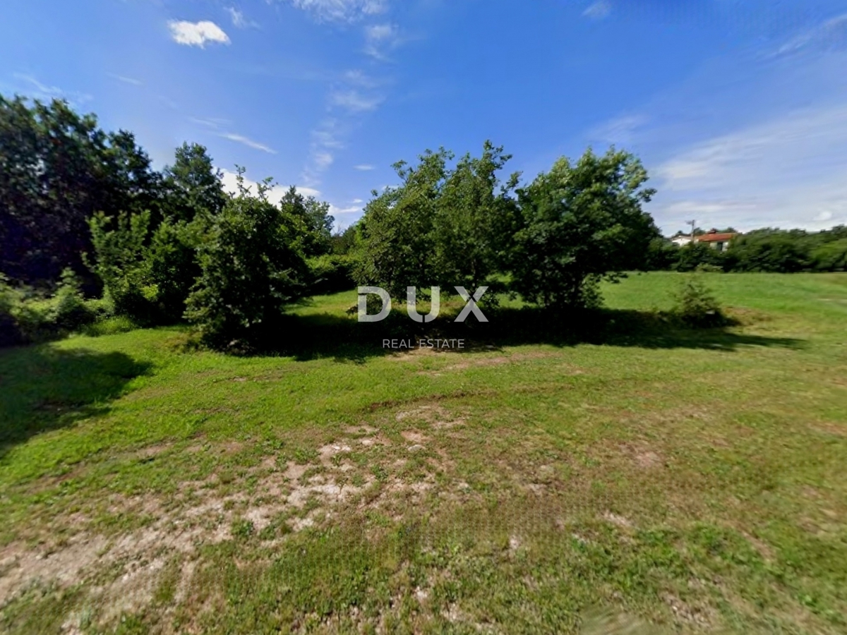 ISTRIA, ALBONA - Ampio terreno edificabile