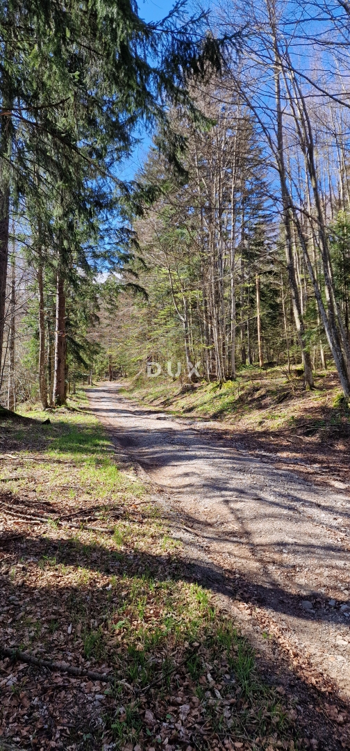 DELNICE, RAVNA GORA - terreno con una superficie totale di 13400 m2