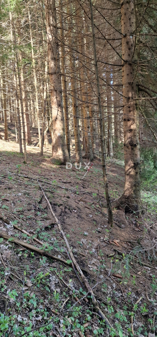 DELNICE, RAVNA GORA - terreno con una superficie totale di 13400 m2