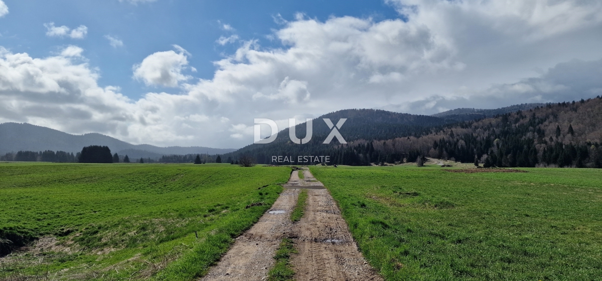 DELNICE, RAVNA GORA - terreno con una superficie totale di 13400 m2