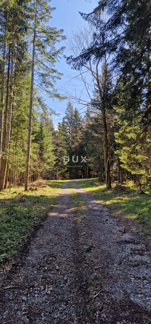 DELNICE, RAVNA GORA - terreno con una superficie totale di 13400 m2