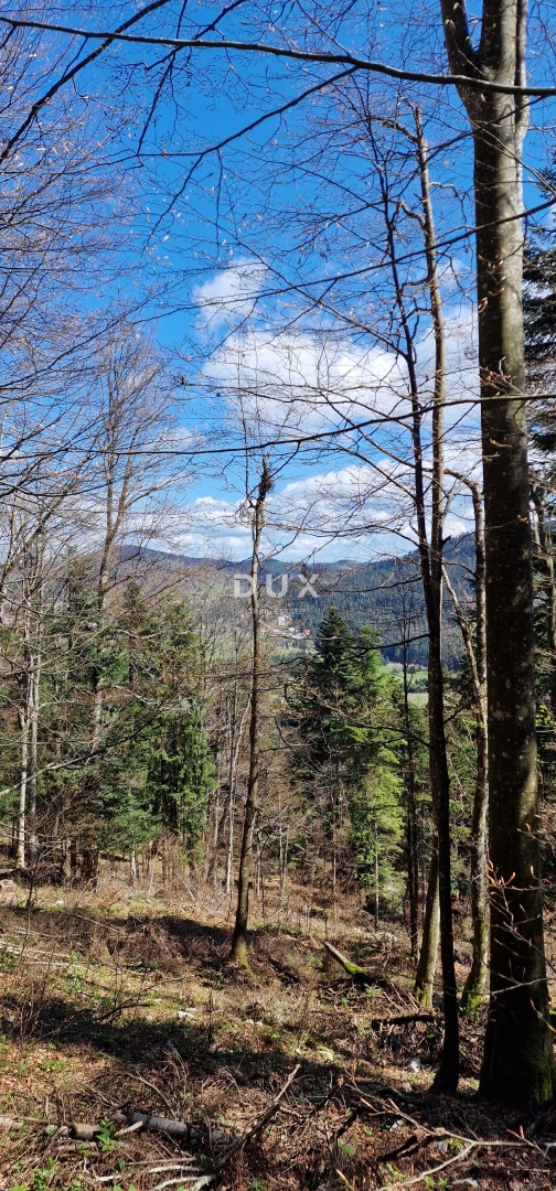 DELNICE, RAVNA GORA - terreno con una superficie totale di 13400 m2