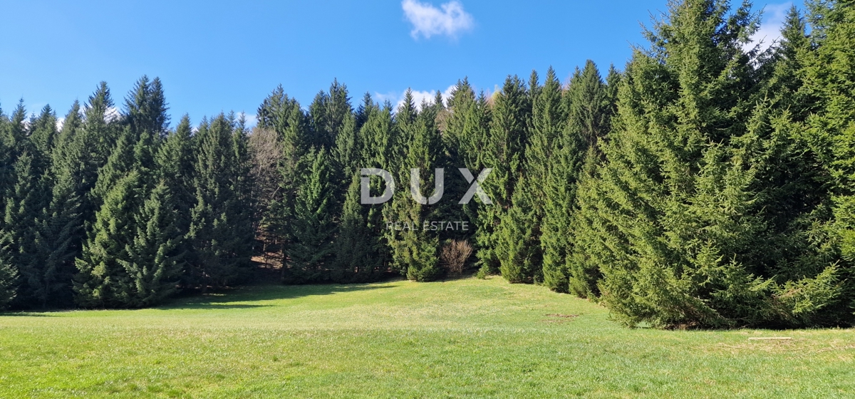 DELNICE, RAVNA GORA - terreno con una superficie totale di 13400 m2