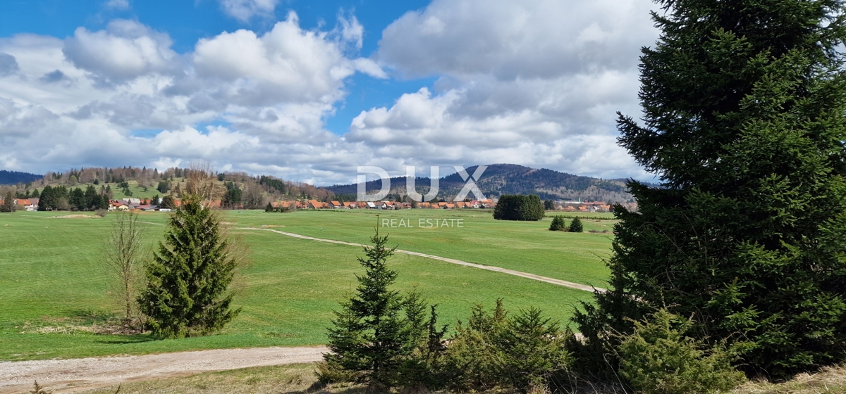 DELNICE, RAVNA GORA - terreno con una superficie totale di 13400 m2