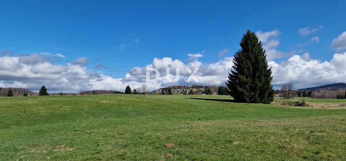 DELNICE, RAVNA GORA - terreno con una superficie totale di 13400 m2