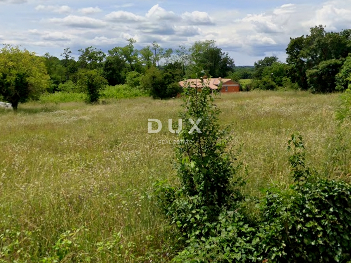 ISTRIA, ALBONA - Ampio terreno con permesso di costruire