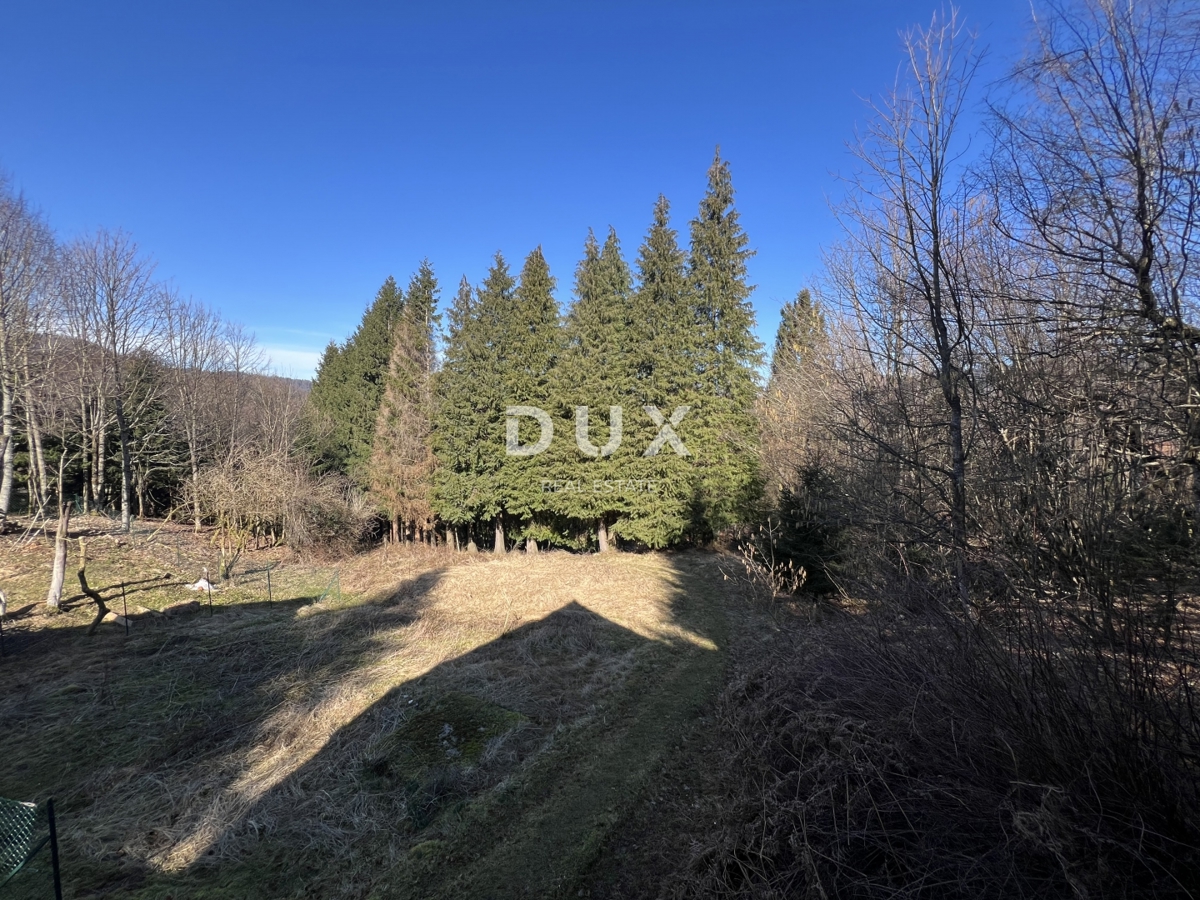 GORSKI KOTAR, DELNICE, DINTORNI - Casa ai margini del parco nazionale