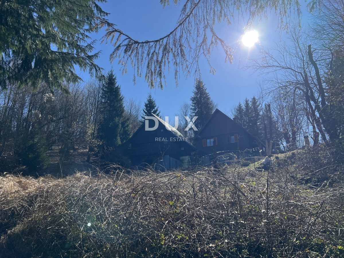 GORSKI KOTAR, DELNICE, DINTORNI - Casa ai margini del parco nazionale