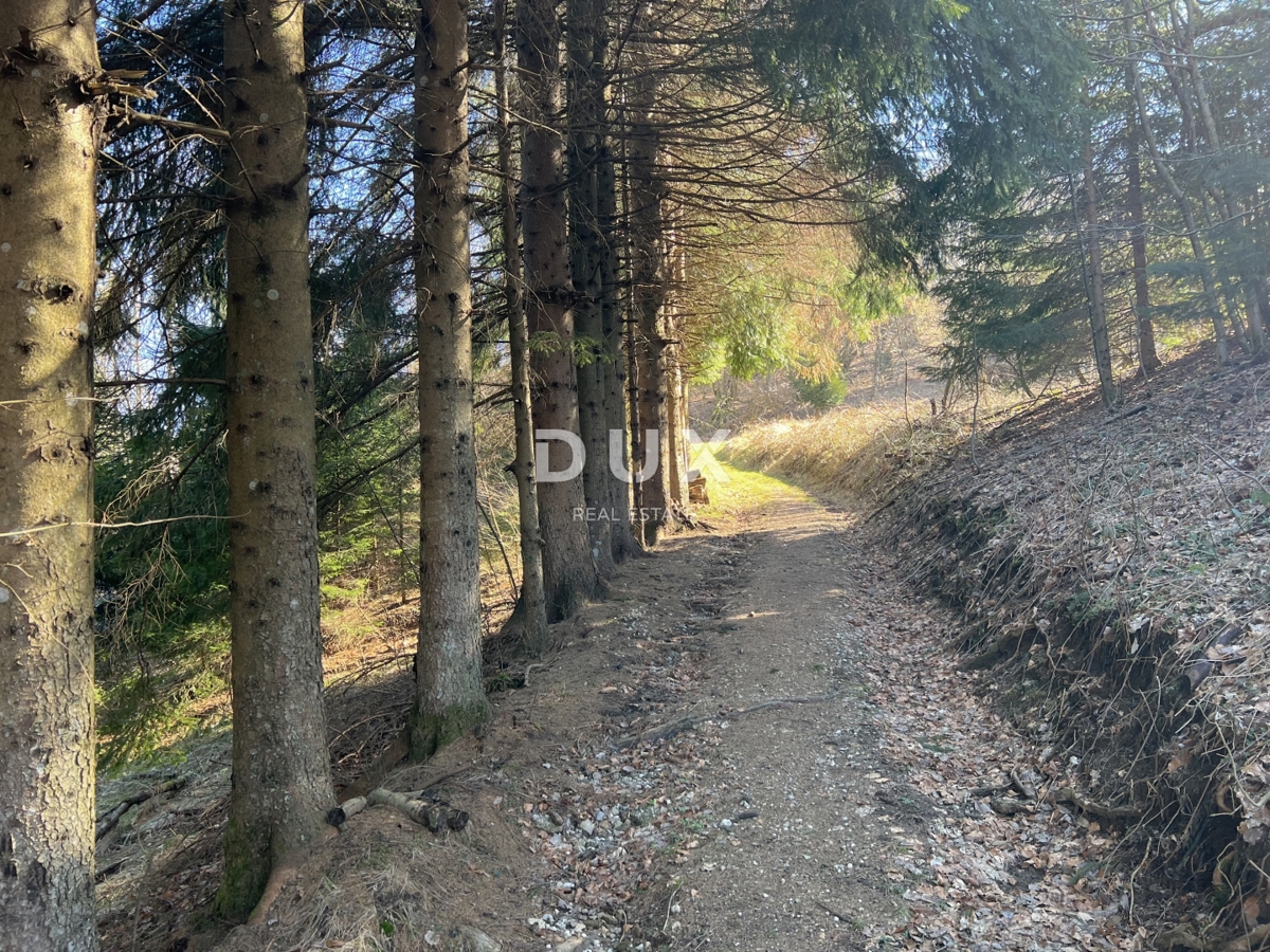 GORSKI KOTAR, DELNICE, DINTORNI - Casa ai margini del parco nazionale