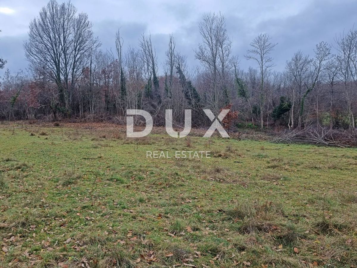 ISTRIA, LABIN - Ampio terreno edificabile ai margini del villaggio