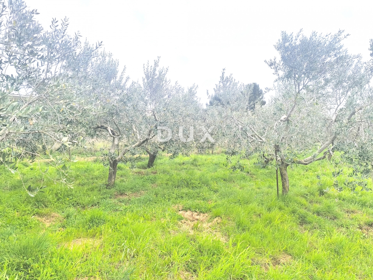 ISTRIA, PREMANTURA - Terreno edificabile con vista mare