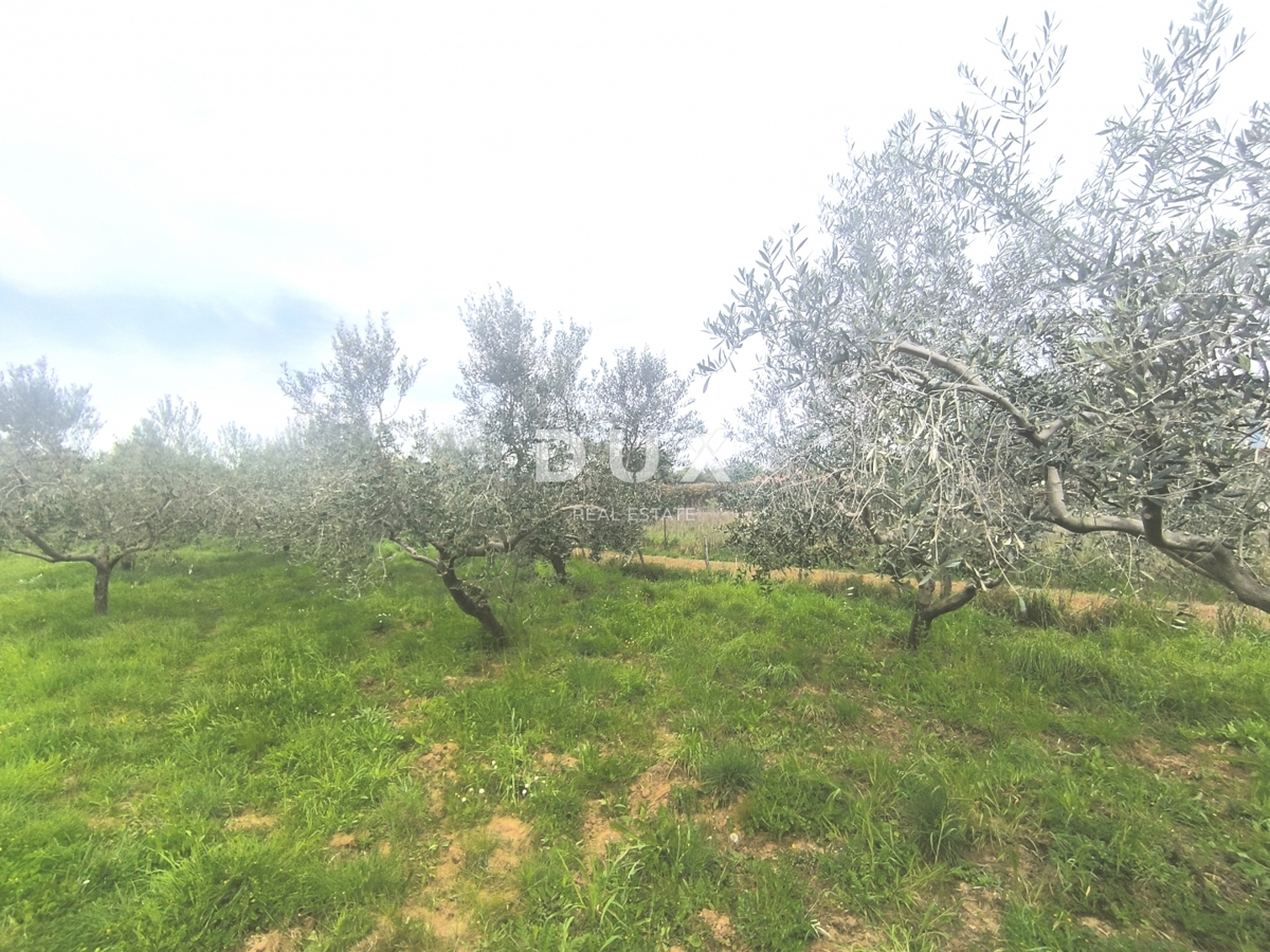 ISTRIA, PREMANTURA - Terreno edificabile con vista mare
