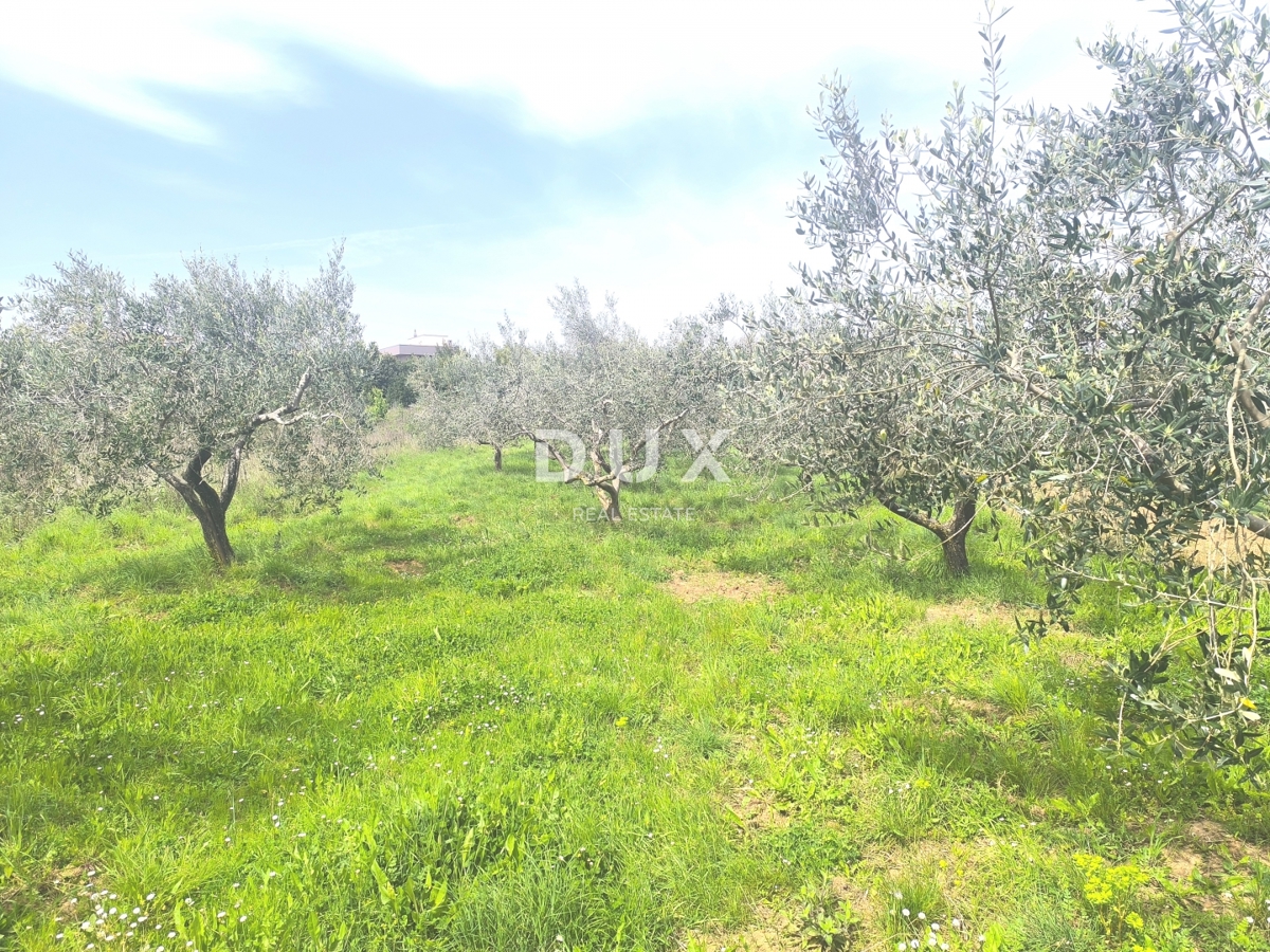 ISTRIA, PREMANTURA - Terreno edificabile con vista mare
