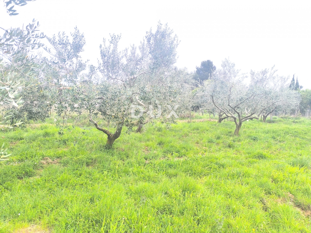 ISTRIA, PREMANTURA - Terreno edificabile con vista mare