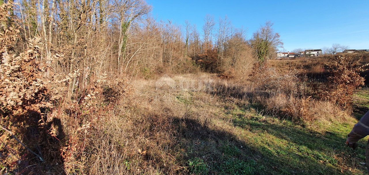 Terreno Jakačići, Gračišće, 6.000m2