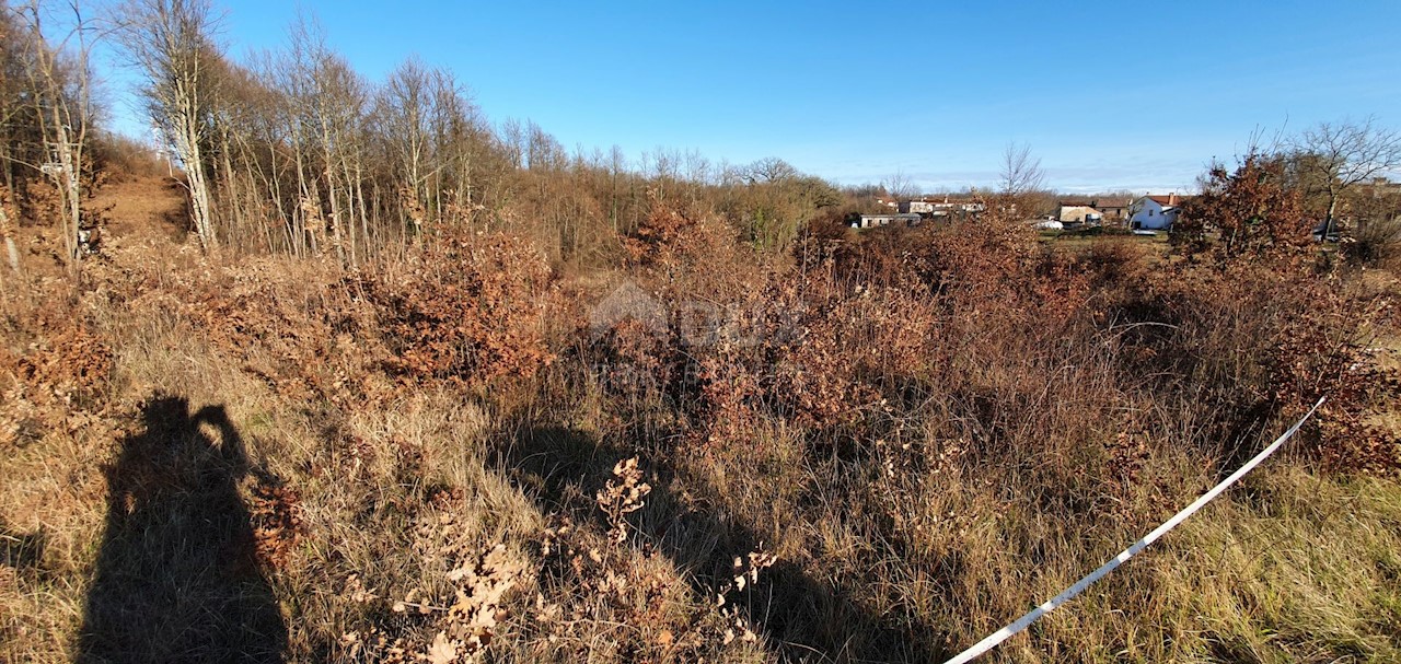 Terreno Jakačići, Gračišće, 6.000m2