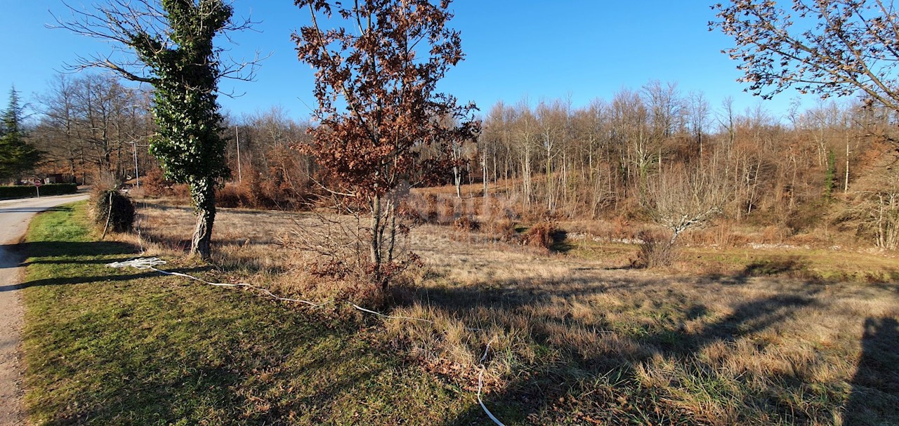 Terreno Jakačići, Gračišće, 6.000m2