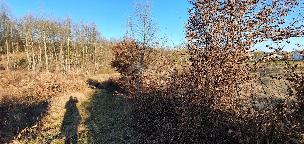 Terreno Jakačići, Gračišće, 6.000m2