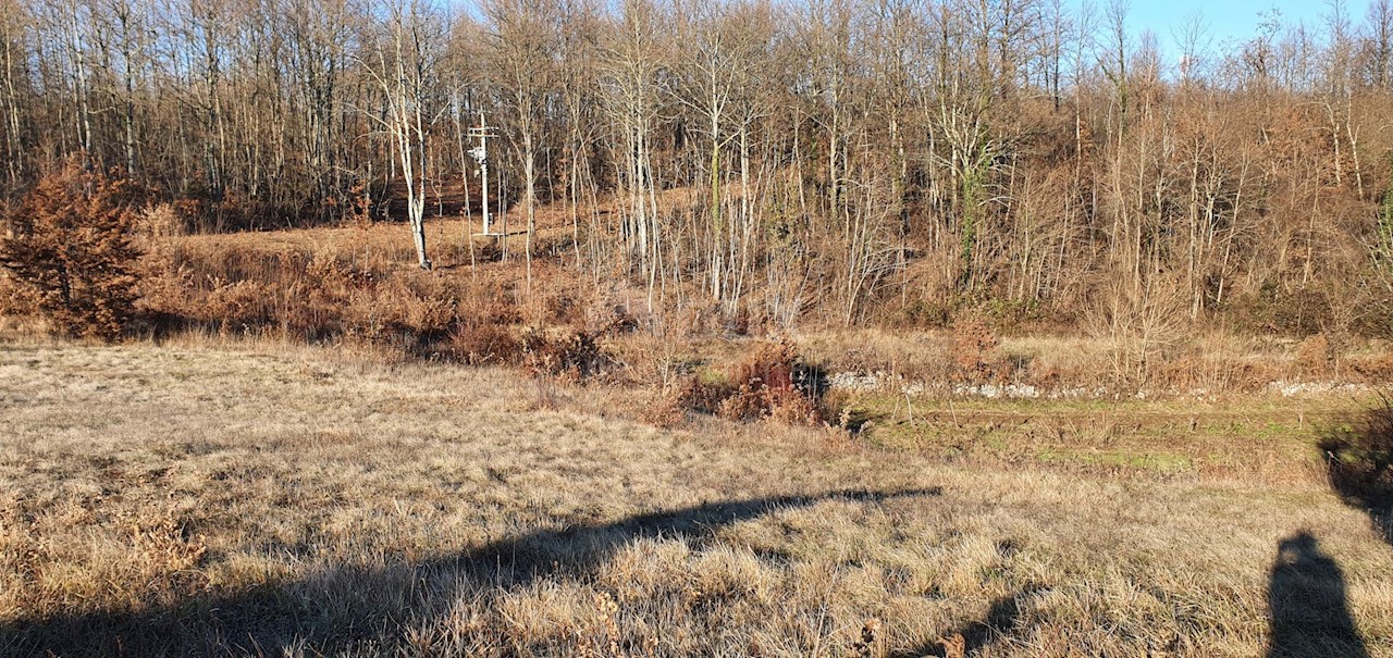 Terreno Jakačići, Gračišće, 6.000m2