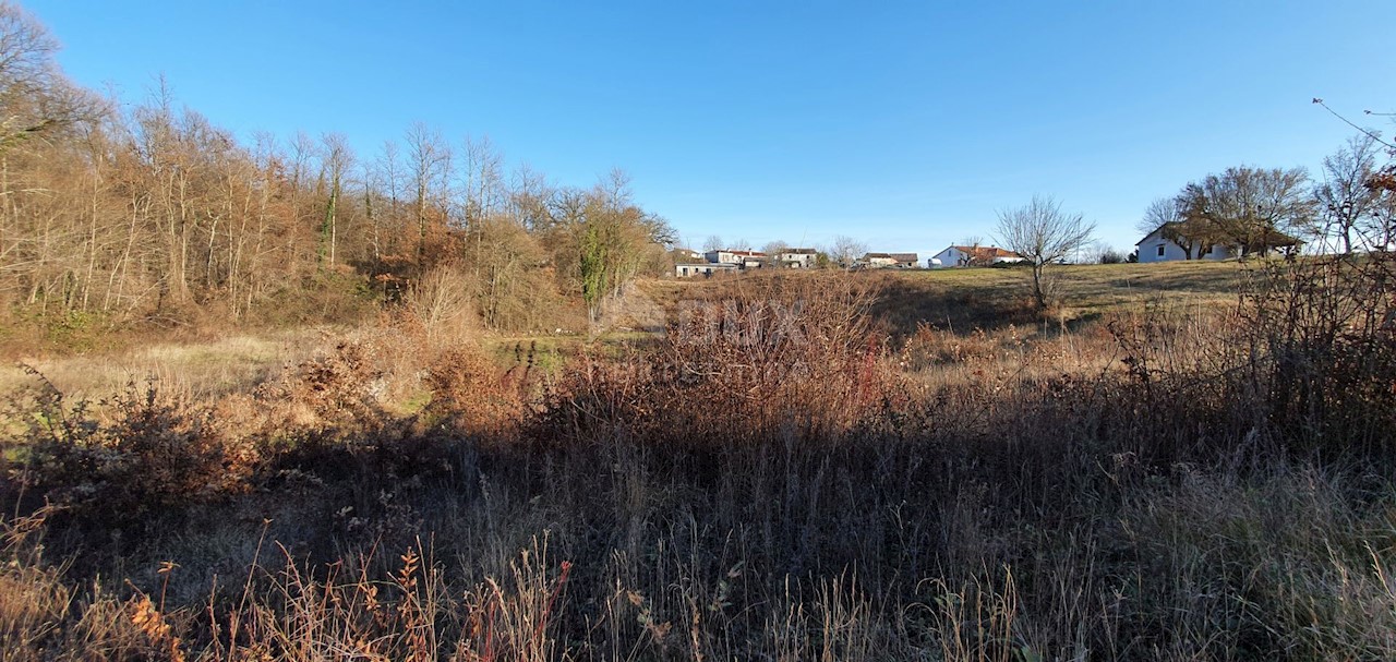 Terreno Jakačići, Gračišće, 6.000m2