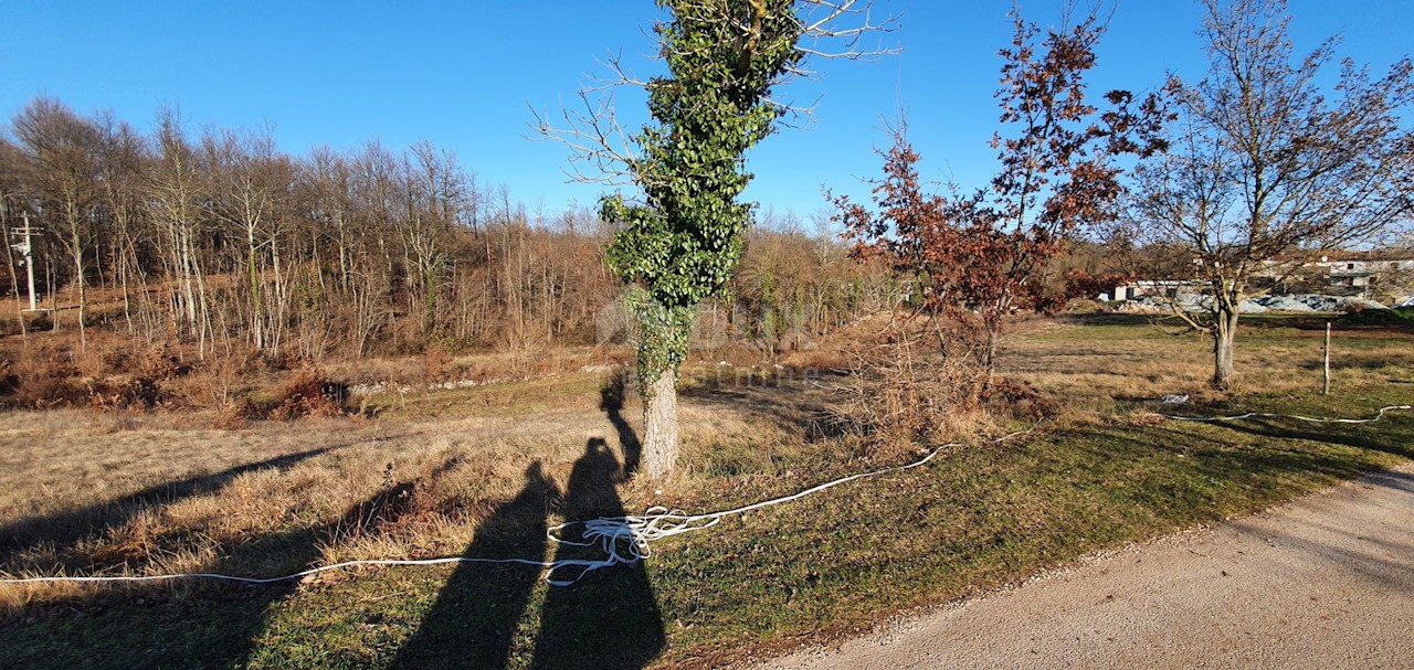 Terreno Jakačići, Gračišće, 6.000m2