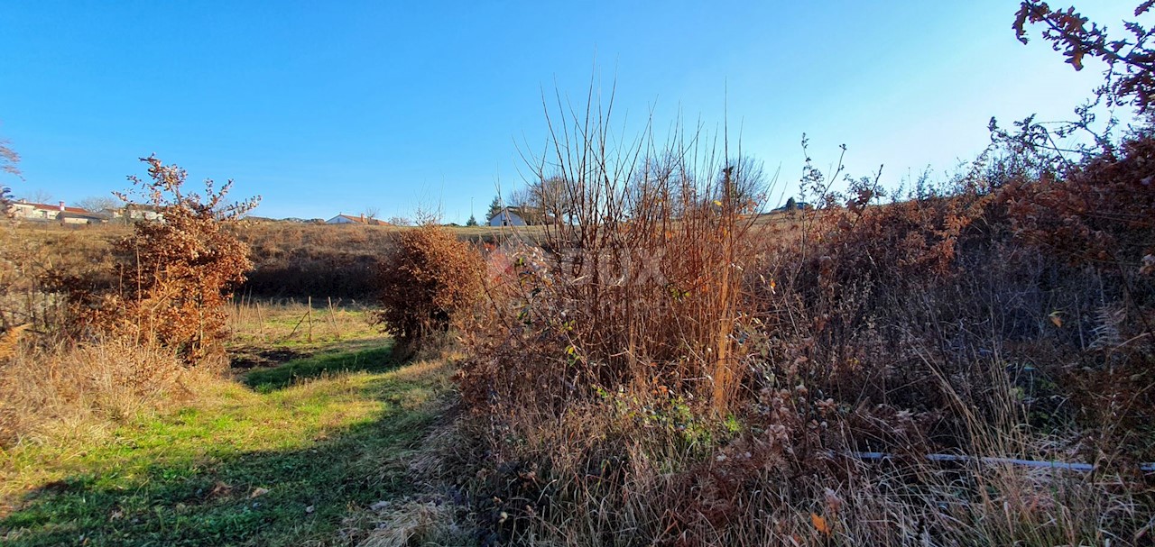 Terreno Jakačići, Gračišće, 6.000m2