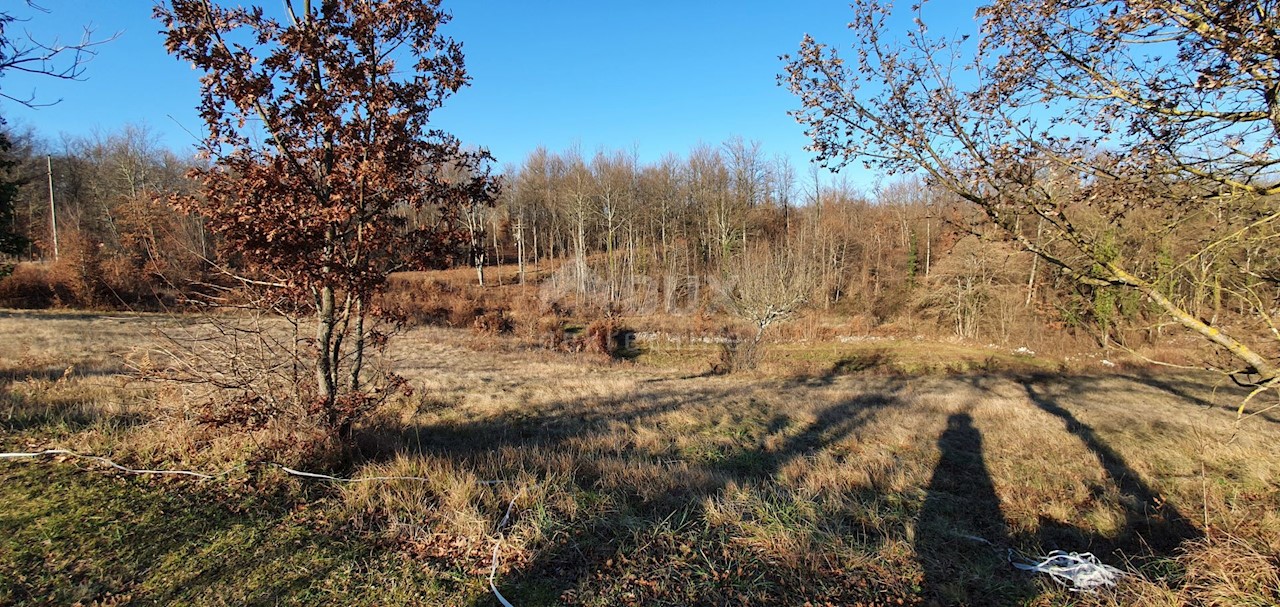 Terreno Jakačići, Gračišće, 6.000m2