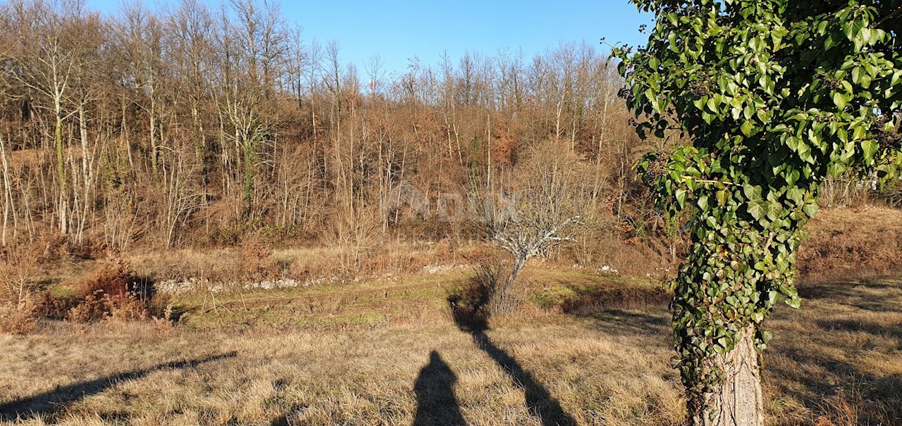 Terreno Jakačići, Gračišće, 6.000m2