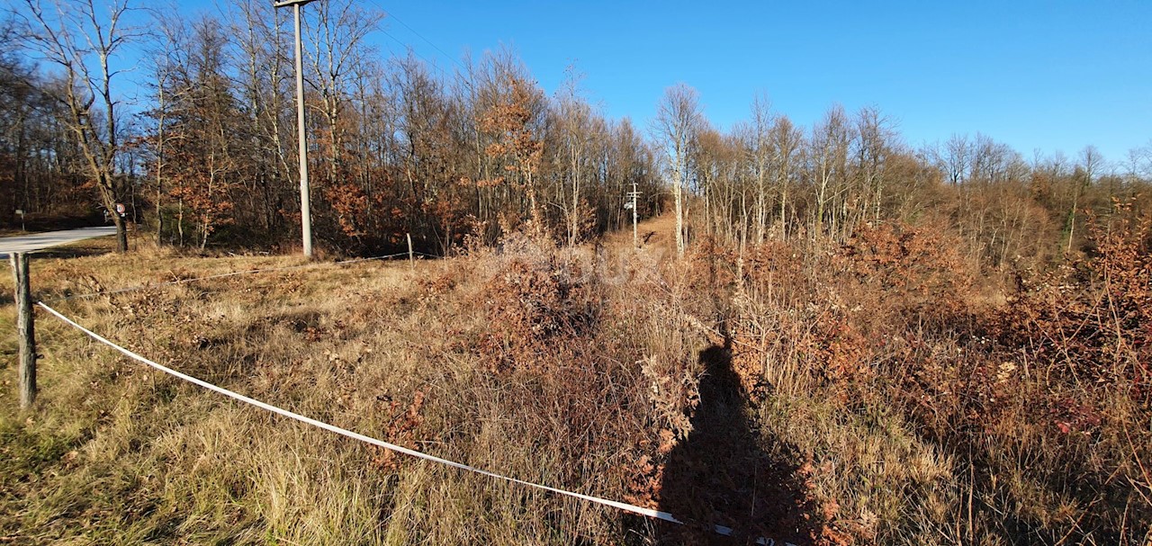 Terreno Jakačići, Gračišće, 6.000m2