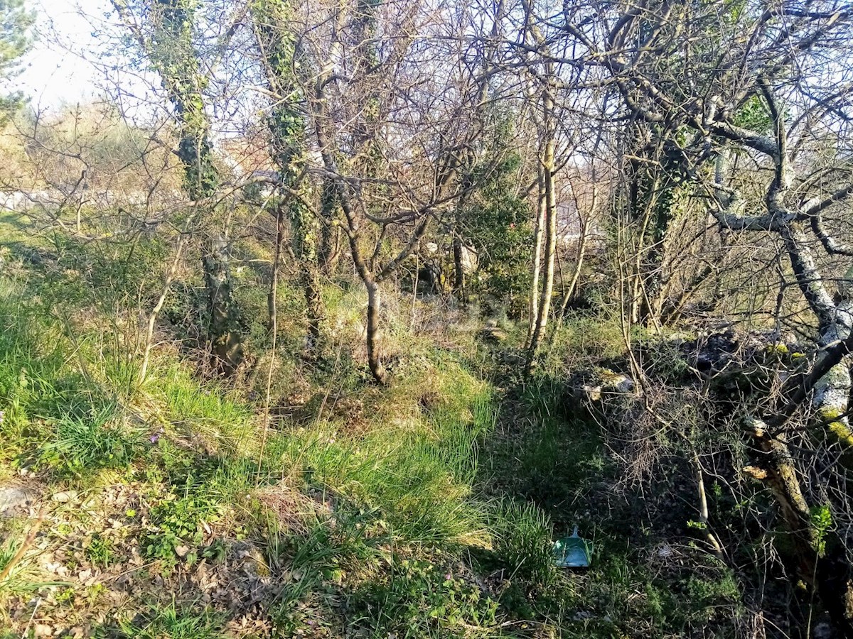 Terreno Labin, 2.046m2