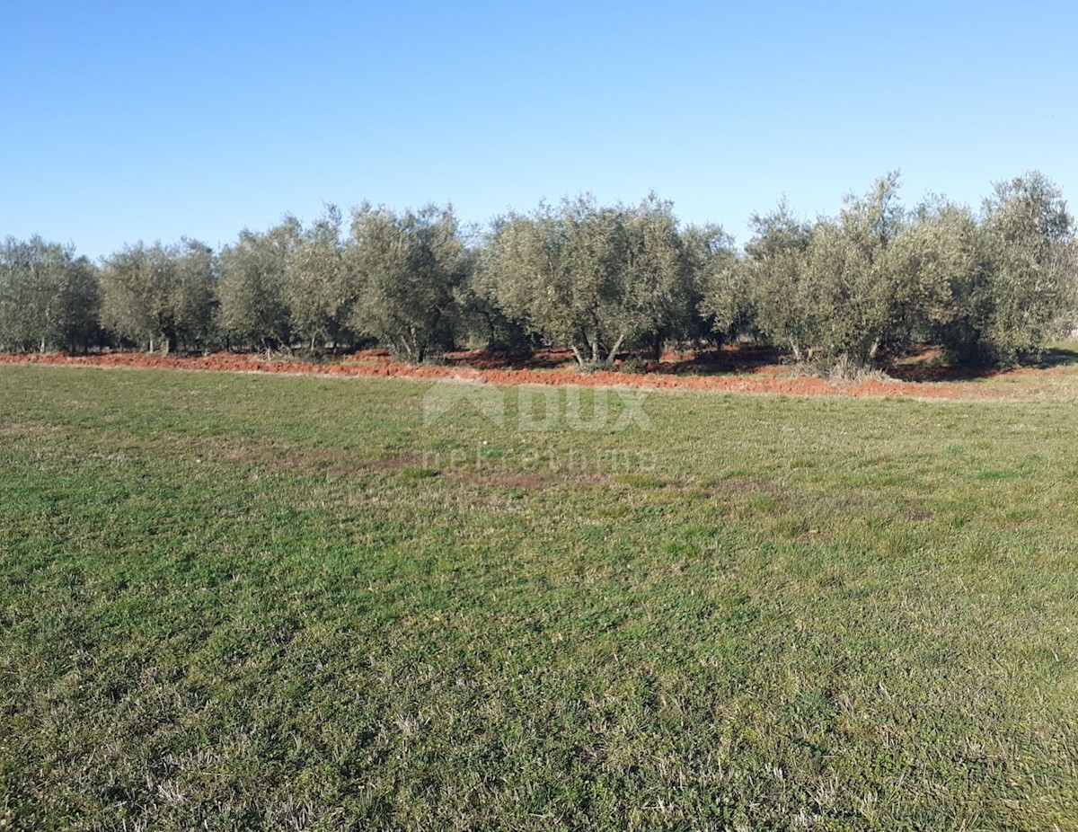 Terreno Novigrad, 9.632m2