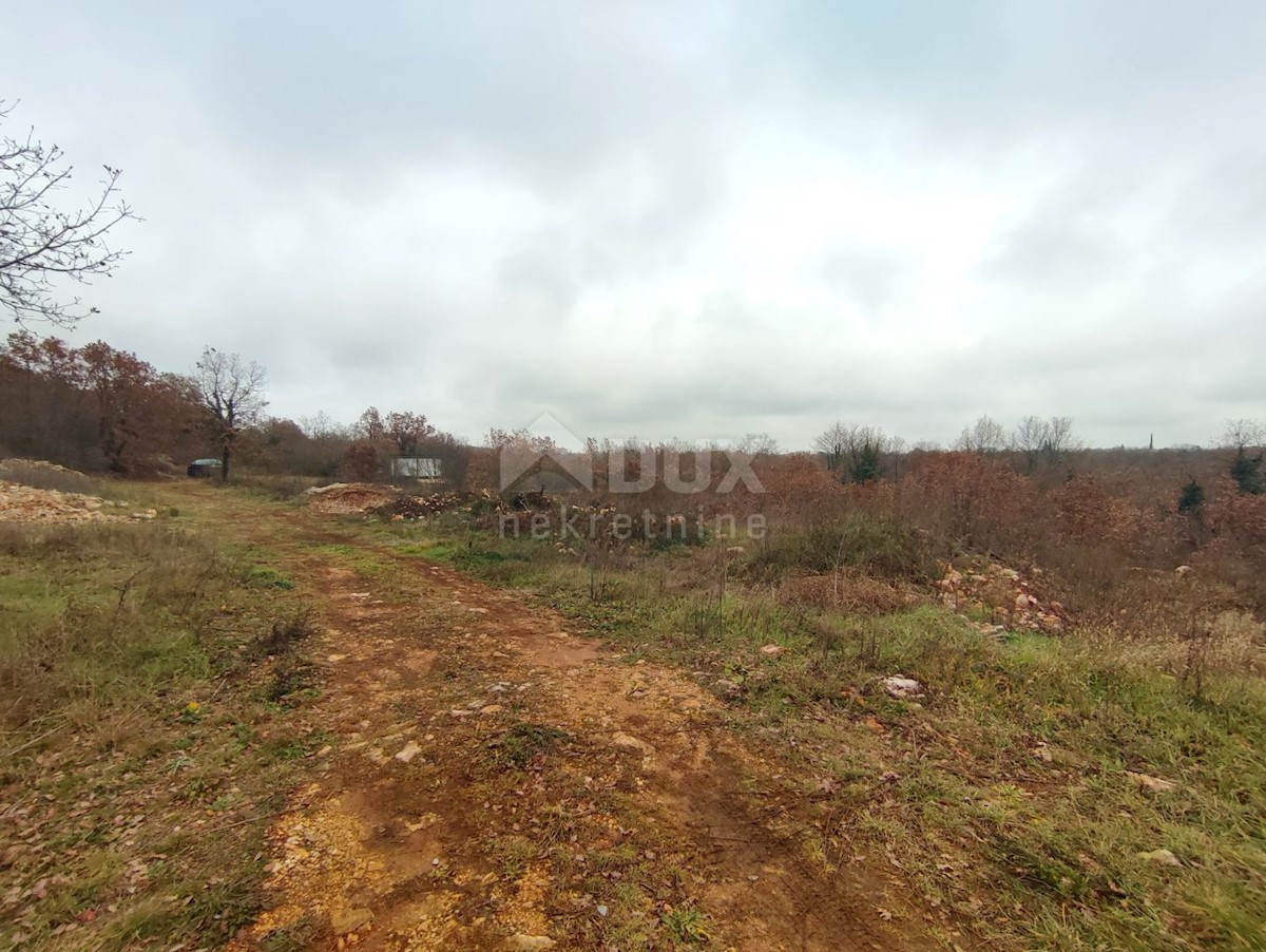 Terreno Vodnjan, 60.000m2