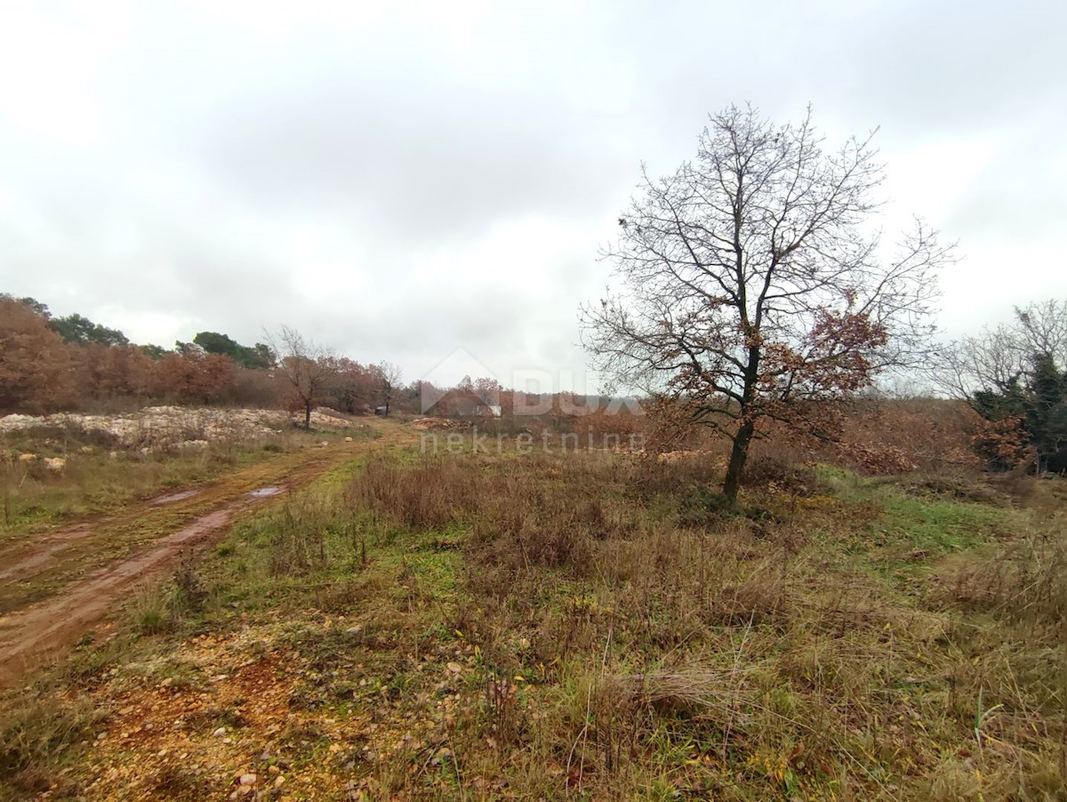 Terreno Vodnjan, 60.000m2