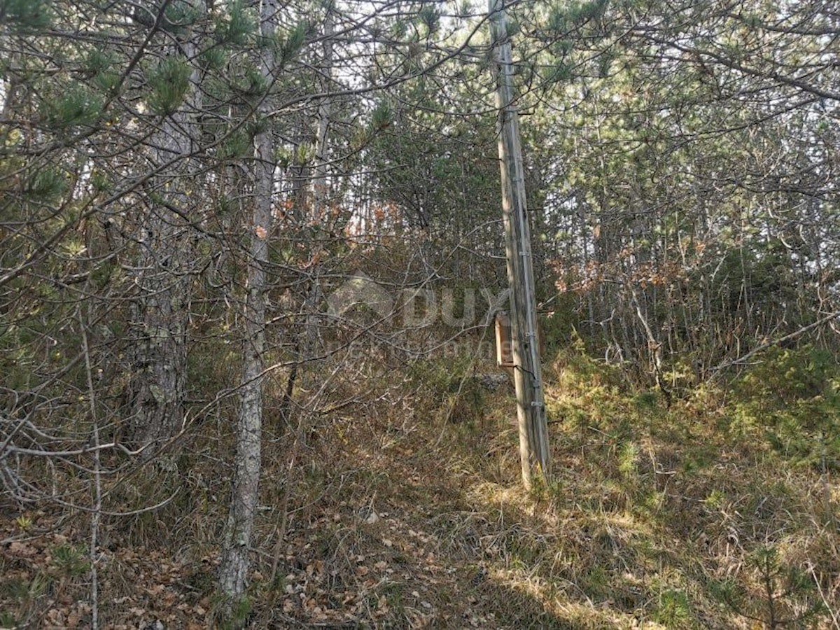 Terreno Kaldir, Motovun, 9.500m2