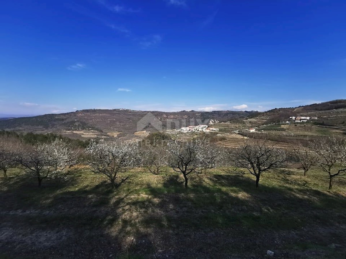 Terreno Kaldir, Motovun, 9.500m2