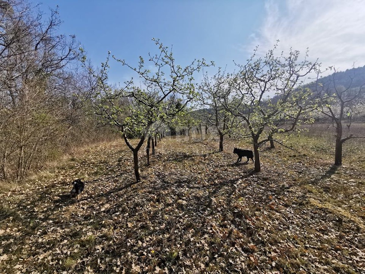 Terreno Kaldir, Motovun, 9.500m2