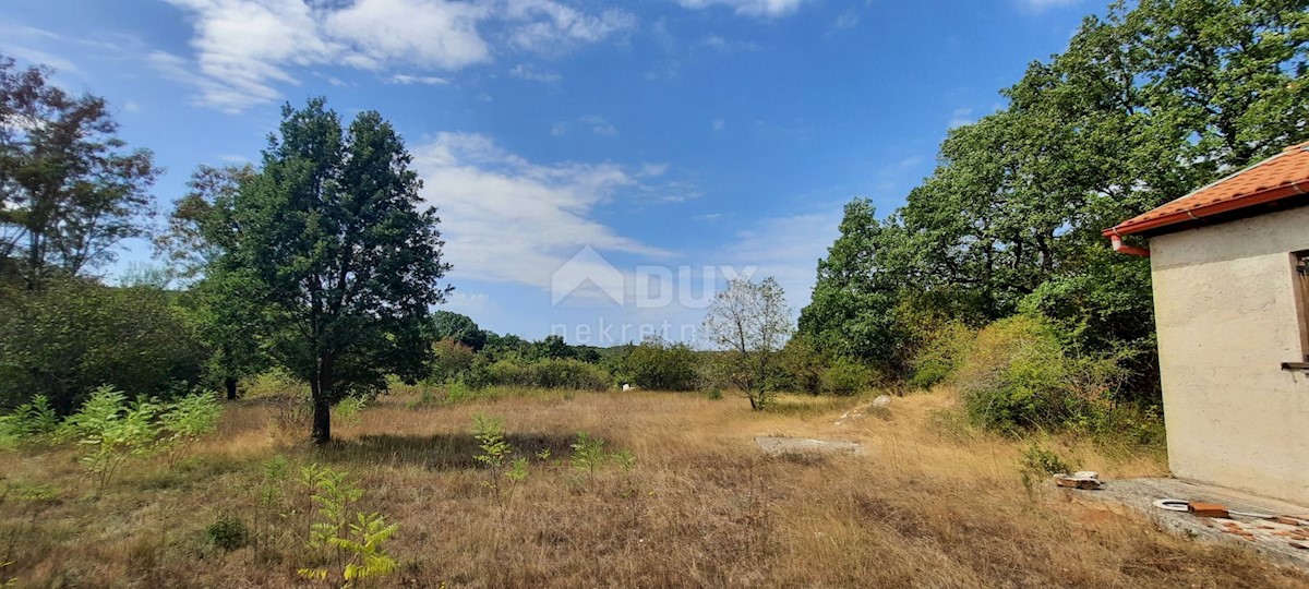 Terreno Šorići, Kanfanar, 10.511m2