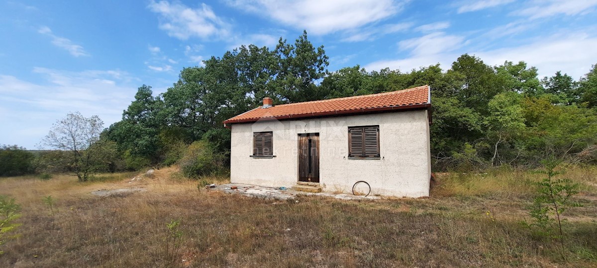 Terreno Šorići, Kanfanar, 10.511m2