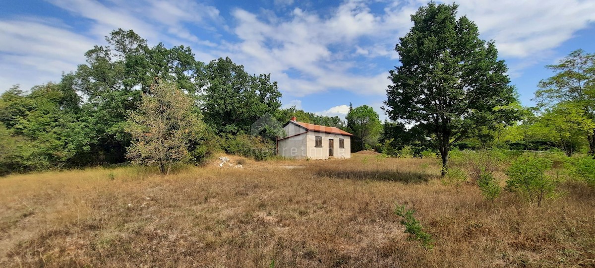 Terreno Šorići, Kanfanar, 10.511m2