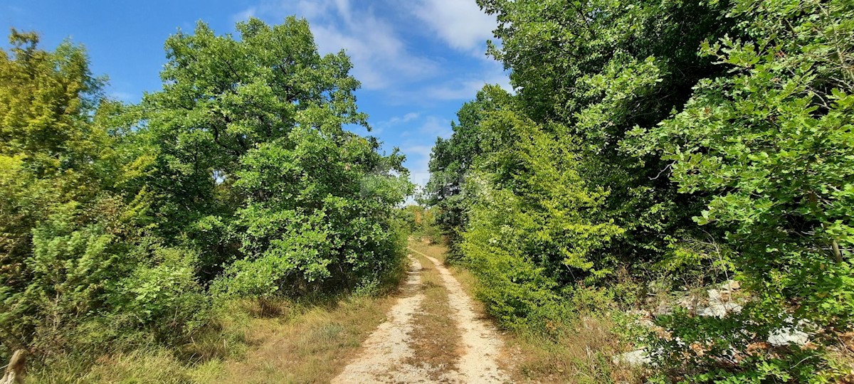 Terreno Šorići, Kanfanar, 10.511m2