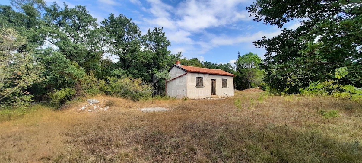 Terreno Šorići, Kanfanar, 10.511m2